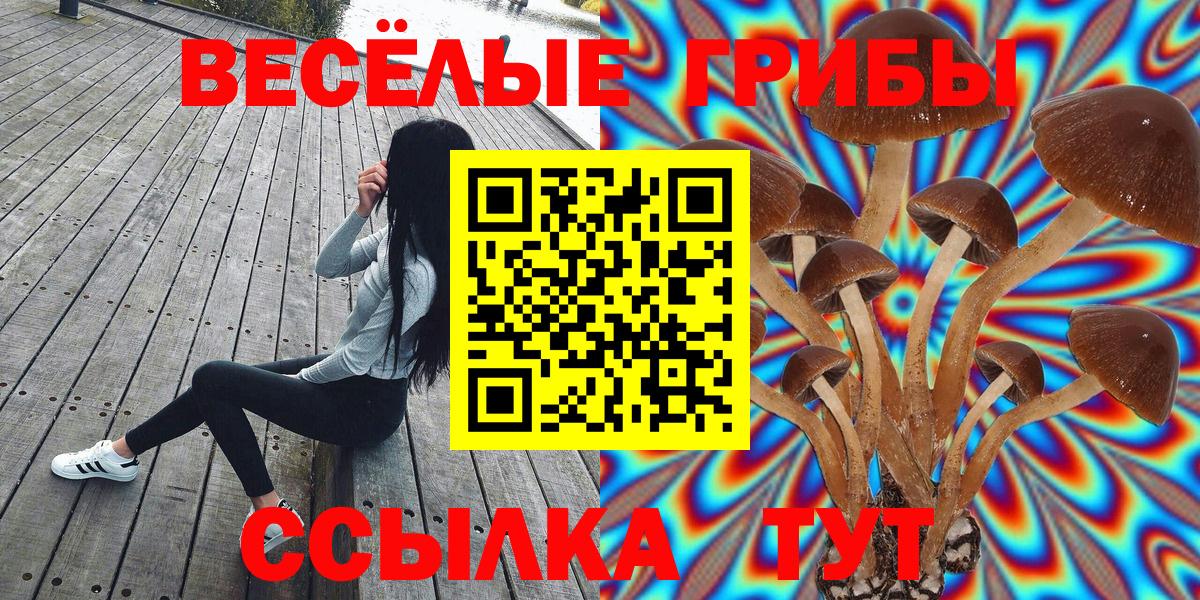 Галлюциногенные грибы GOLDEN TEACHER Мытищи