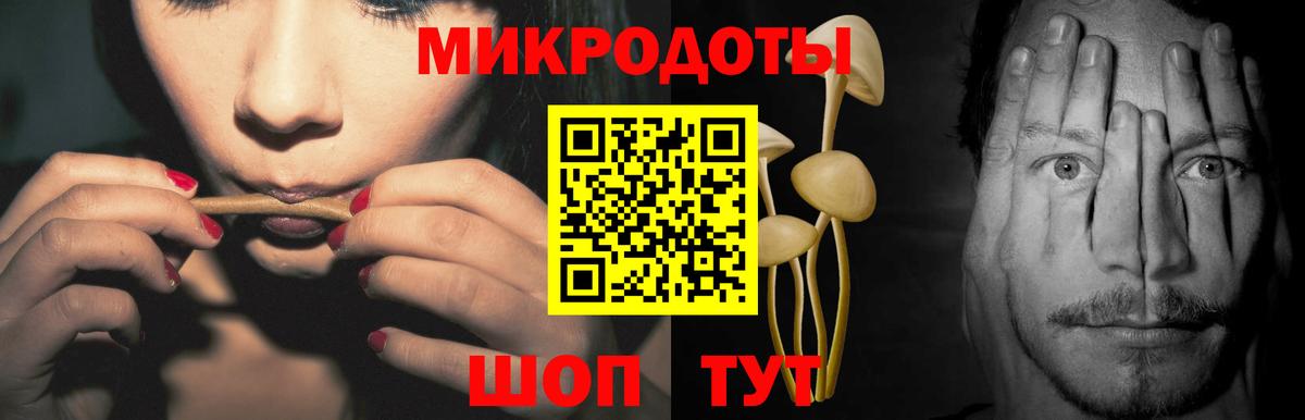 Мытищи  Псилоцибиновые грибы Psilocybe  Вход с VPN 